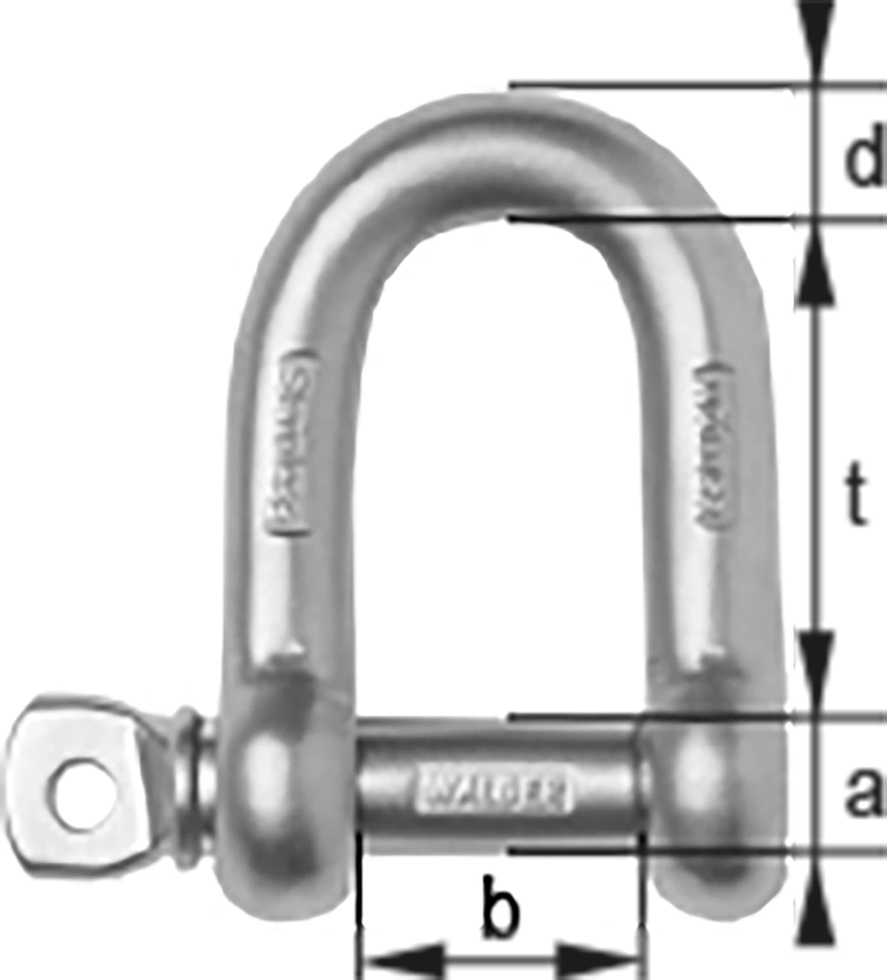 CSA-06 - D-Shackle