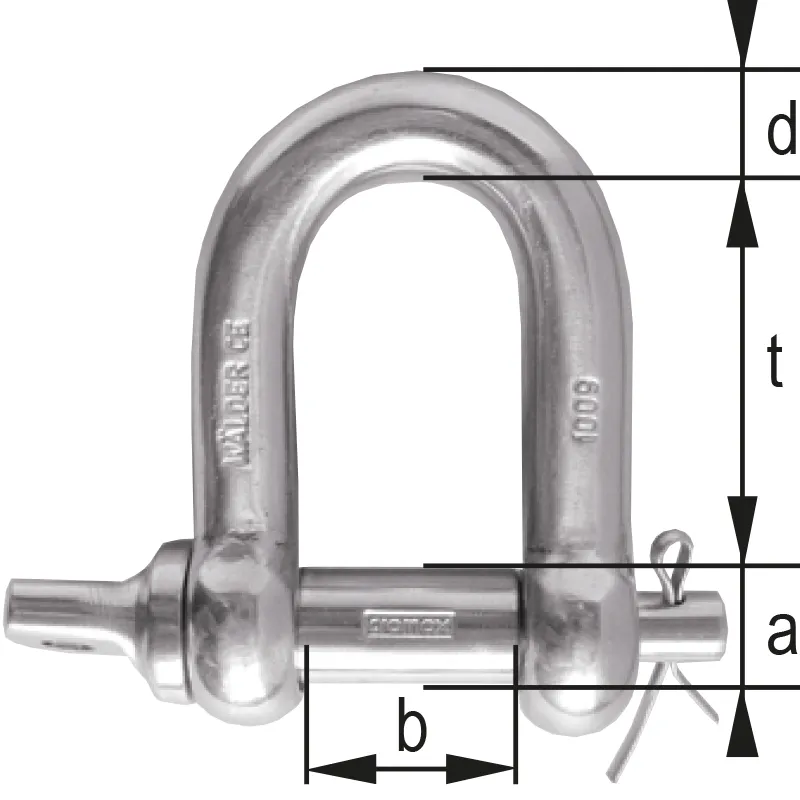 CSS-10 - Safety-D-Shackle