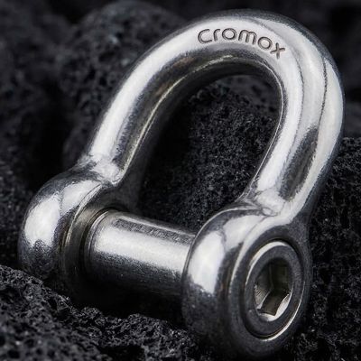 Allen Key D-Shackle NIS